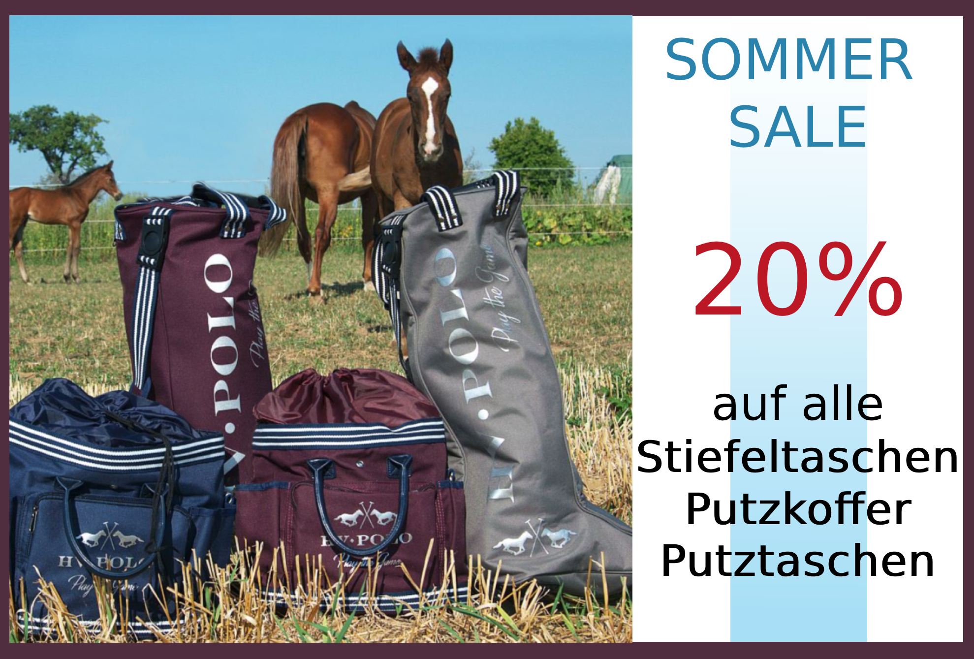 taschen-sosale20